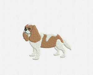 Spaniel