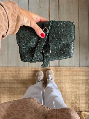 IMG_8488.jpeg
