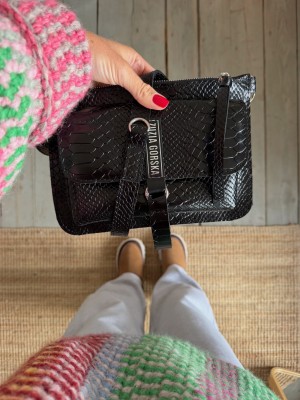 IMG_8779.jpeg
